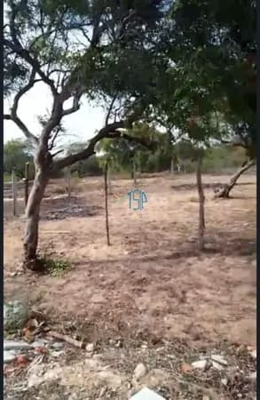 TERRENO EM NISIA FLORESTA / TERREO COM 4.000 METROS / TERRENO REGULARIZADO / TERRENO COM POÇO CARTESIANO / TERRENO COM GRANJA / TERRENO PARA INVESTIR