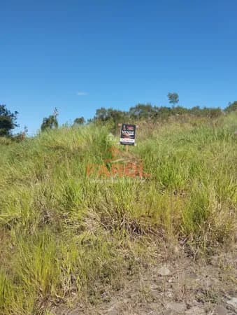 Lote/Terreno em Parobé - Emancipação