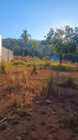 Lote/Terreno em Nova Hartz - Vila Nova