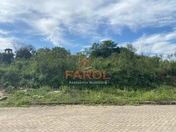Lote/Terreno em Taquara - Ideal