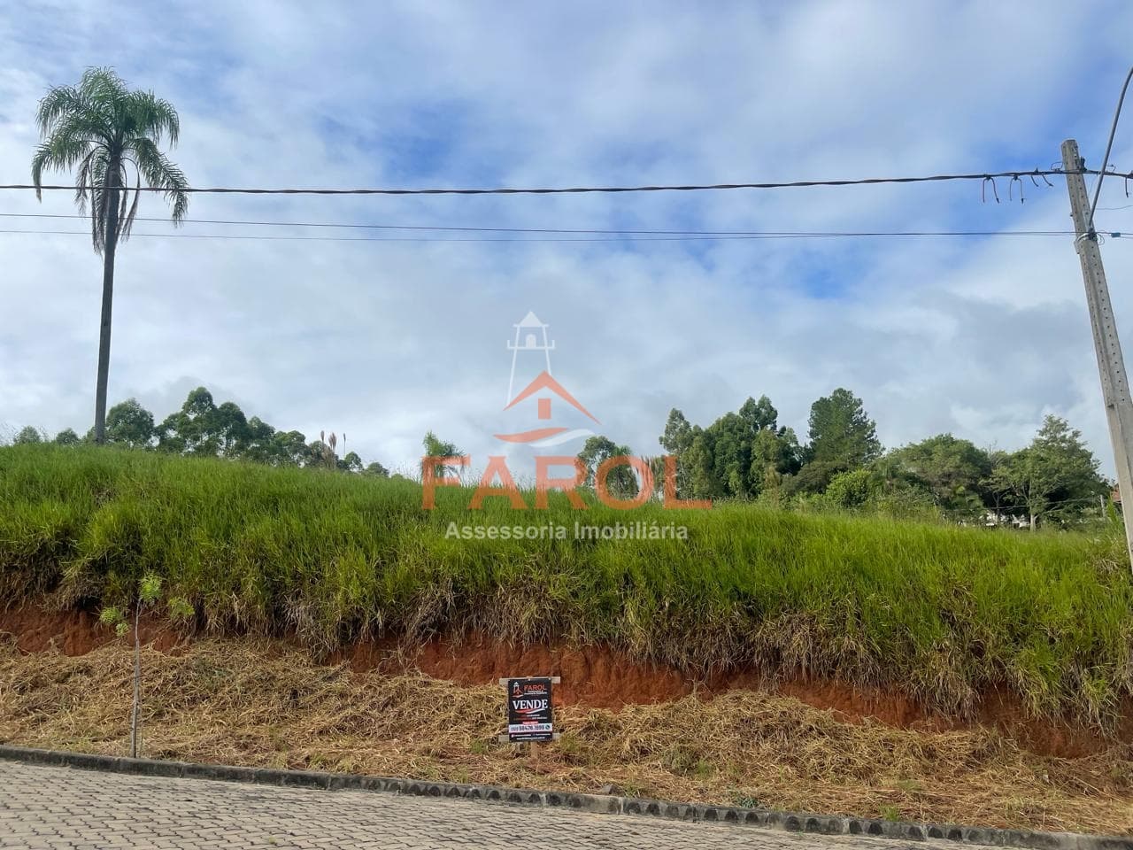 Lote/Terreno em Taquara - Ideal