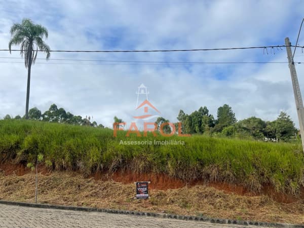 Lote/Terreno em Taquara - Ideal