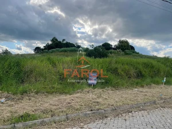 Lote/Terreno em Taquara - Ideal