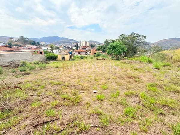 Terreno