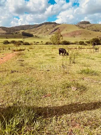 Lote/Terreno em Rio Piracicaba - Centro