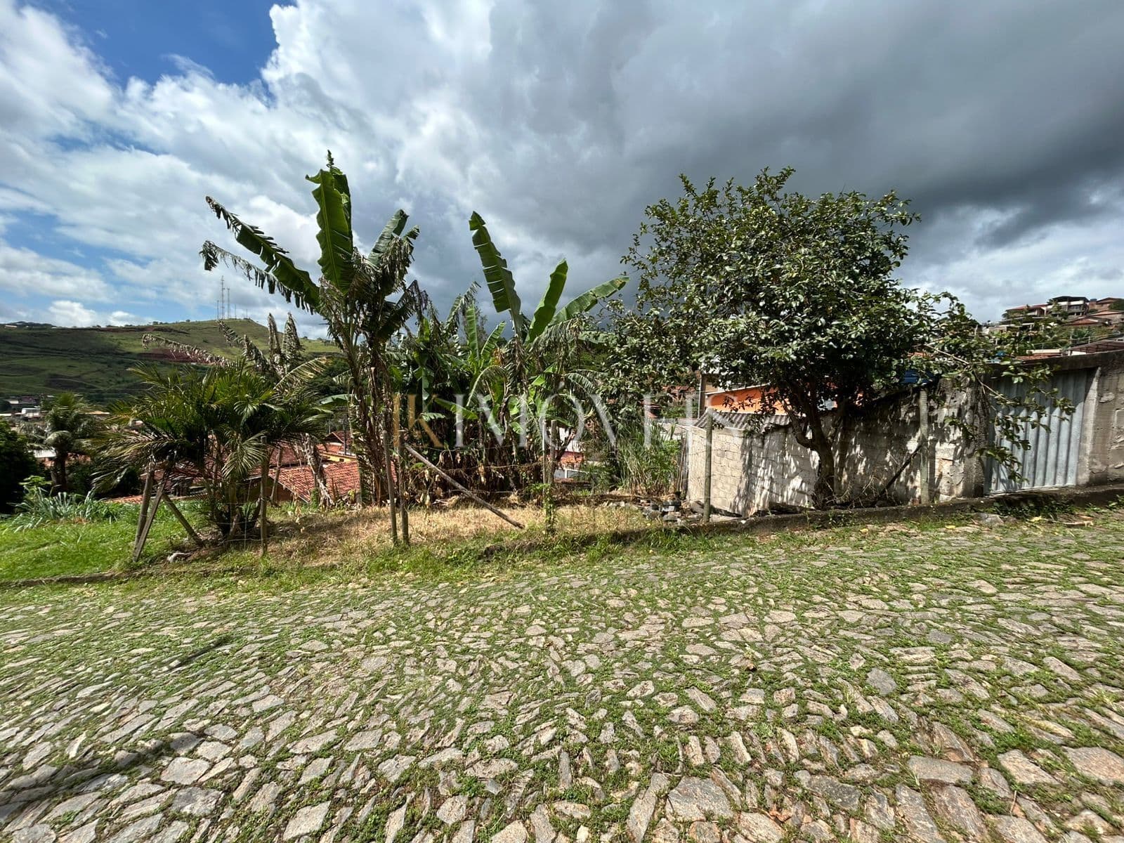 Lote
