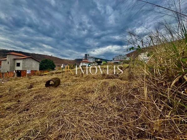 Lote