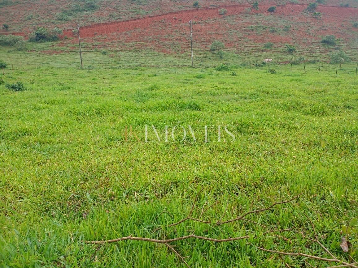 Fazenda/Sítios/Chácaras em Rio Piracicaba - Jorge