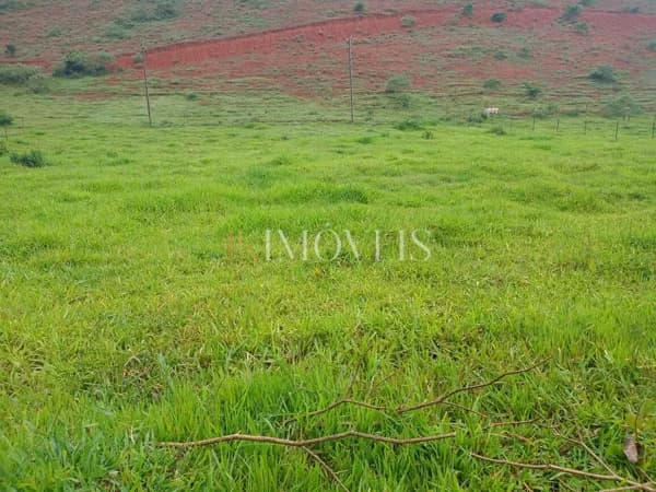 Fazenda/Sítios/Chácaras em Rio Piracicaba - Jorge