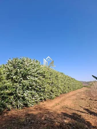 Fazenda/Sítios/Chácaras em Patrocínio - Centro