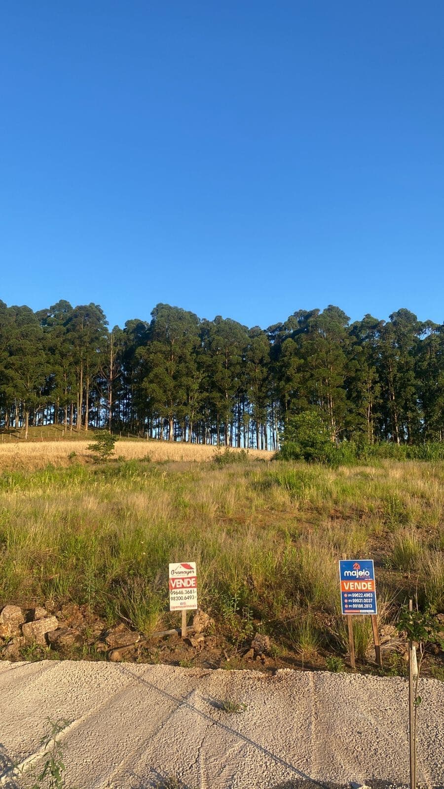 Lote/Terreno em Arroio do Meio - Dona Rita