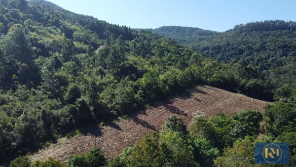 Fazenda/Sítios/Chácaras em Arroio do Meio - Centro
