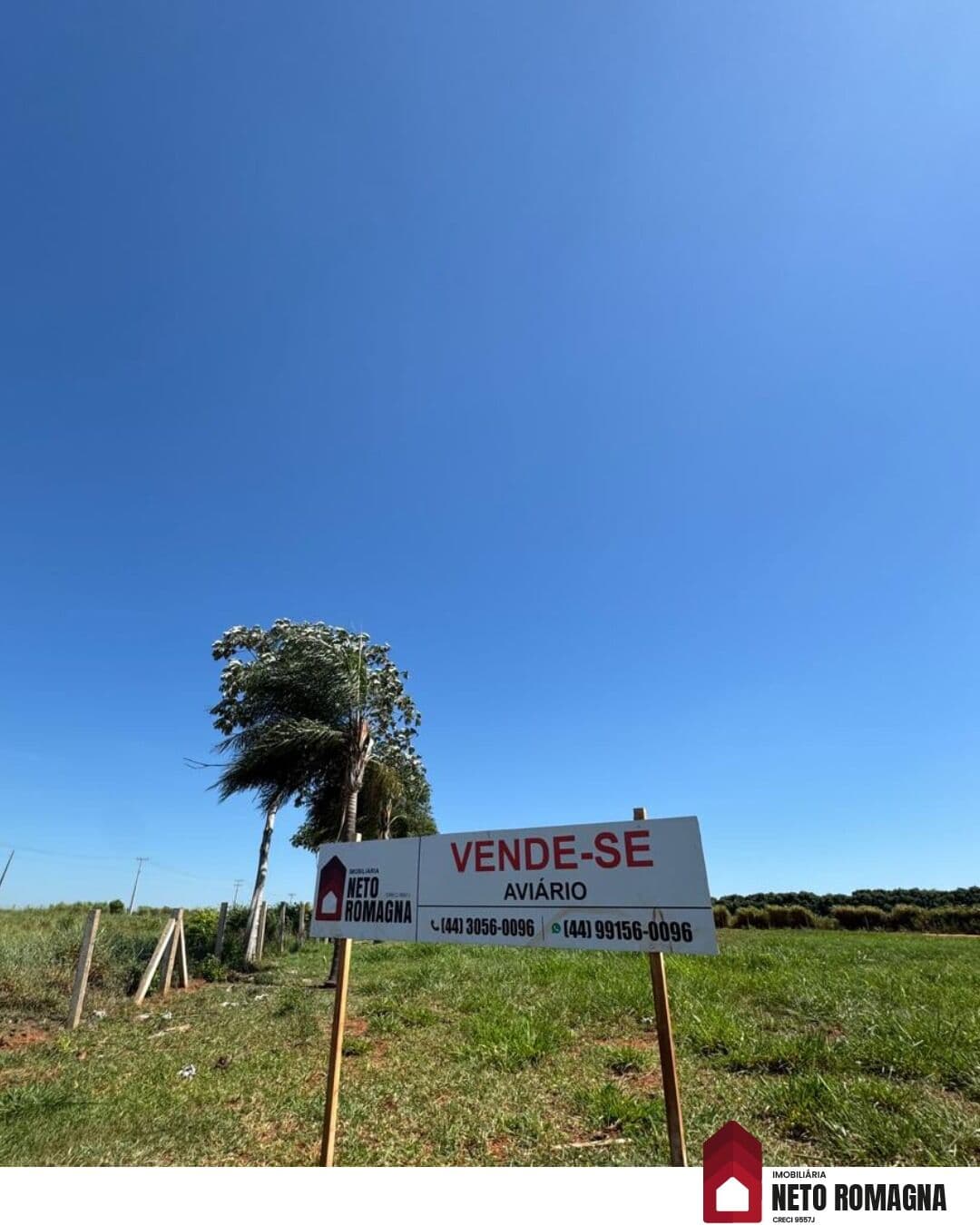 Fazenda/Sítios/Chácaras em Umuarama - Santa Eliza