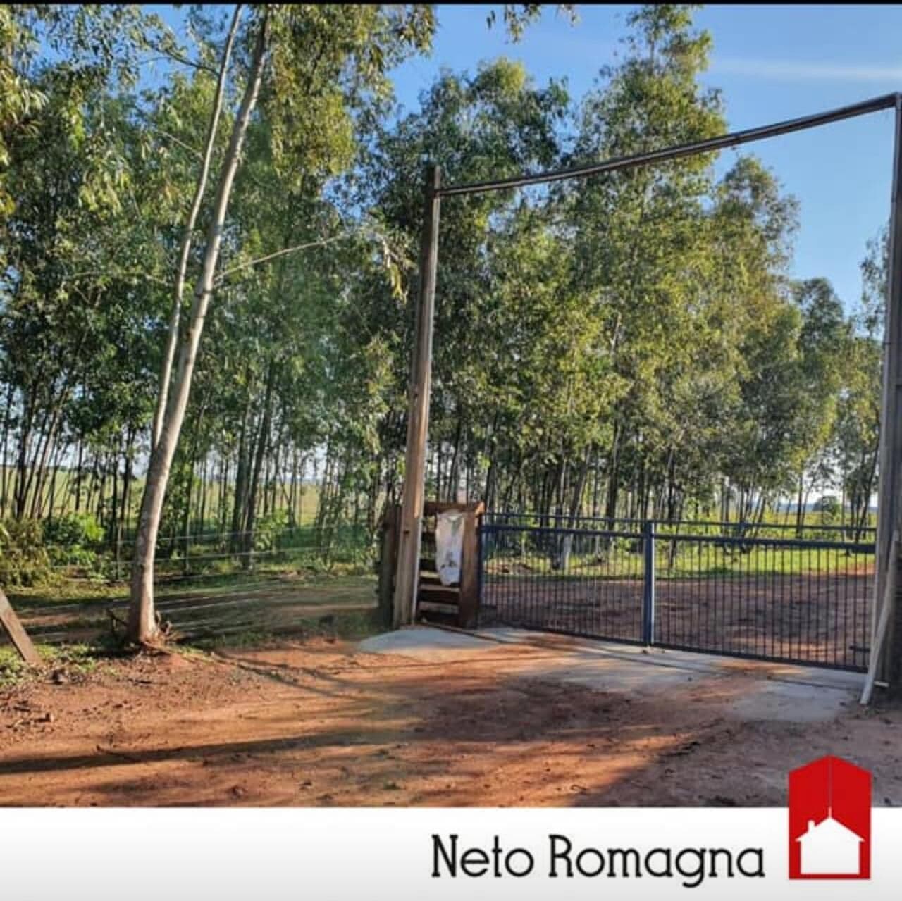 Fazenda/Sítios/Chácaras em Umuarama - Santa Eliza