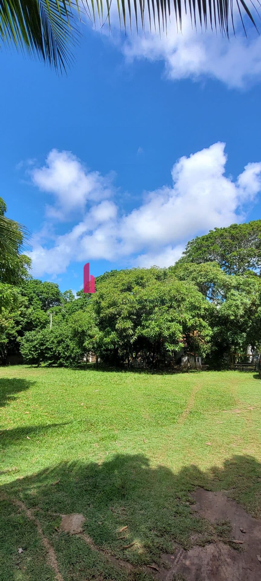 Sítio em AÇU DA TORRE com 9.680m² Mata de São João - BAHIA