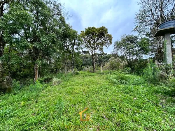 Área Rural Campo Alto, Tijucas do Sul