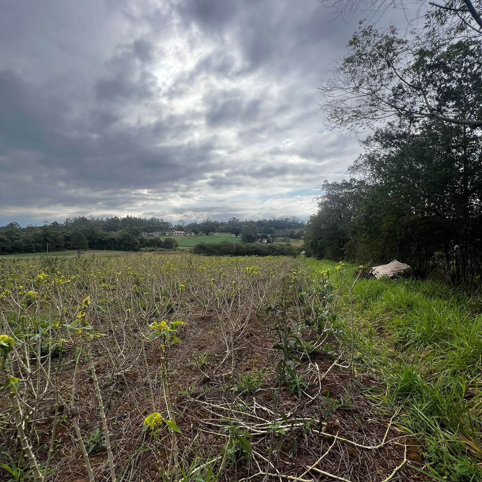 Lote/Terreno em Sangão - Santa Catarina