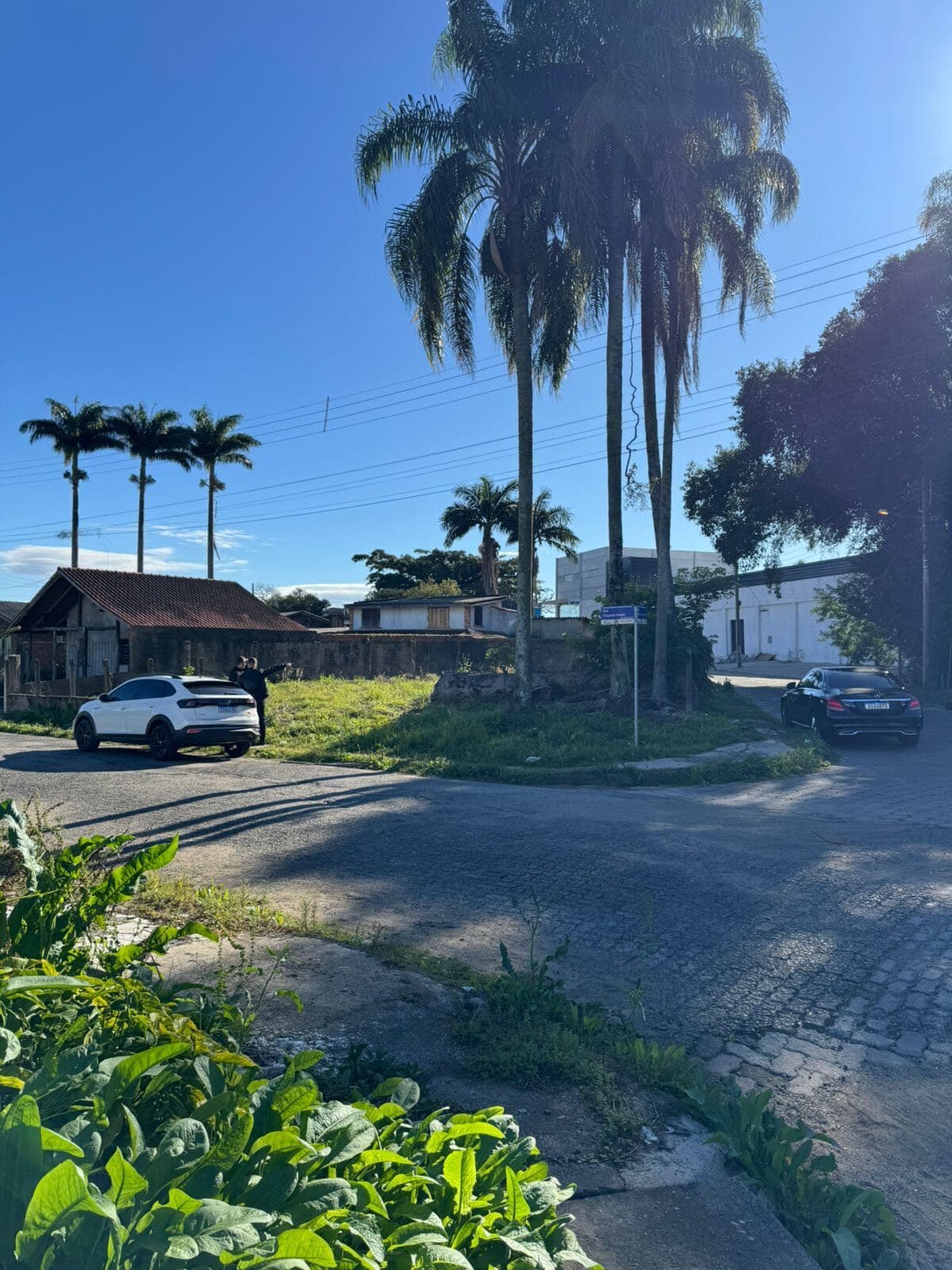 Lote/Terreno em Criciúma - Pinheirinho