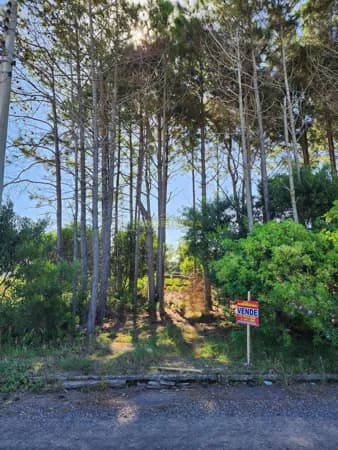 Lote/Terreno em Capão da Canoa - Capão Novo Village