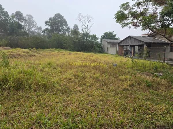 Lote/Terreno em Terra de Areia - Centro