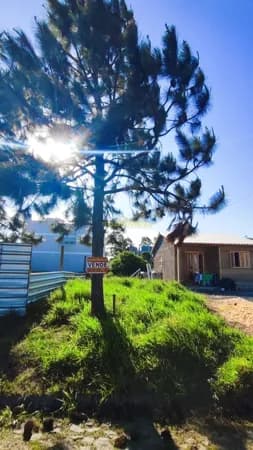 Lote/Terreno em Capão da Canoa - Capao Novo