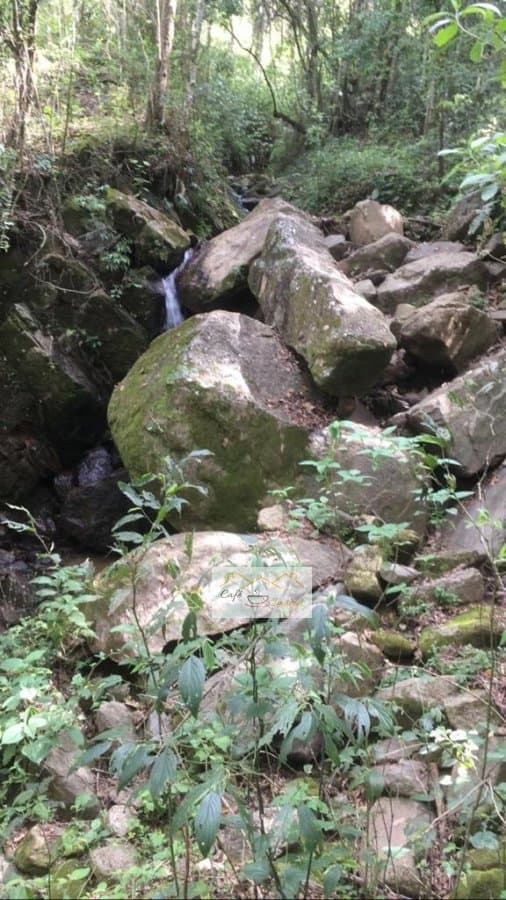 Sítio para Venda em Centro Cambuí-MG