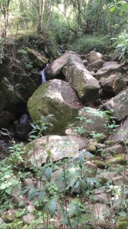 Sítio para Venda em Centro Cambuí-MG