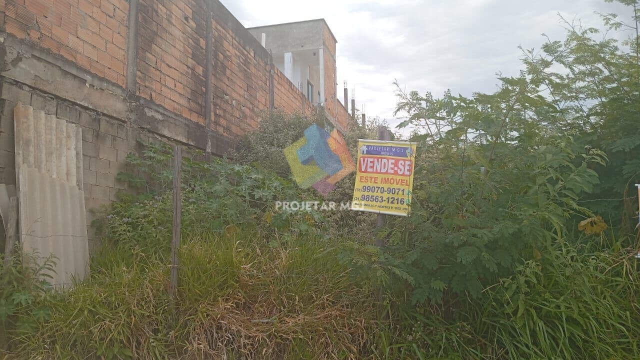 Lote Liberdade