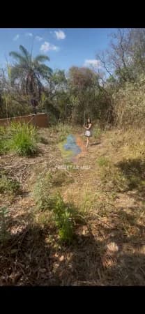 Lote no liberdade