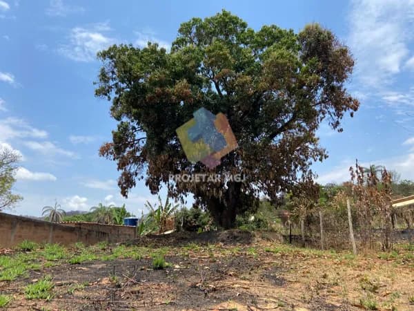 Lote Bairro Córrego Frio