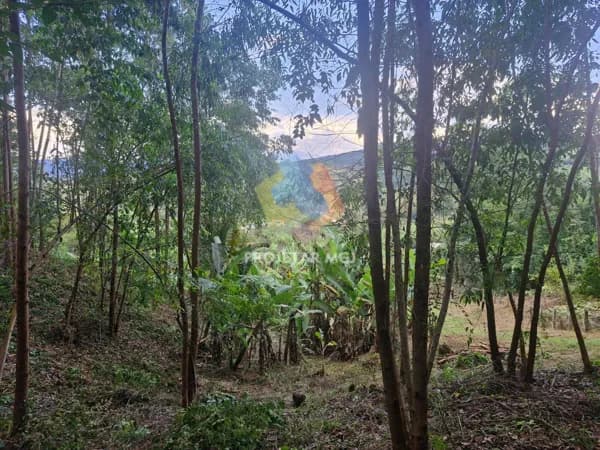 Chácara Área Rural