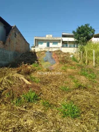 Lote no Liberdade