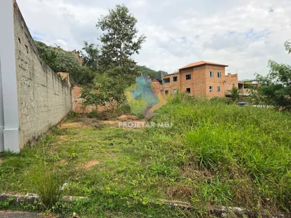 Lote PÉROLA NEGRA | SANTA LUZIA/MG
