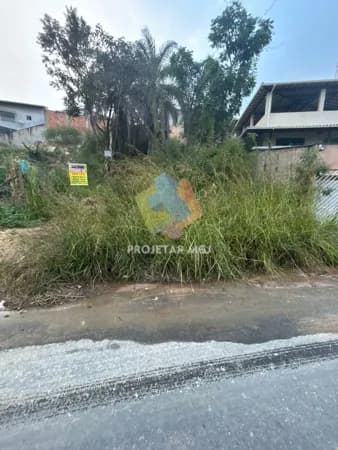 Lote Liberdade