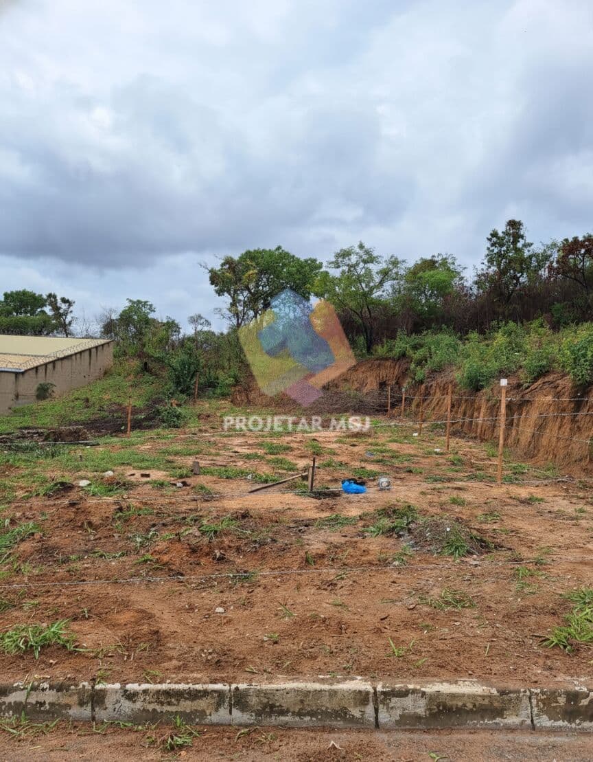 Lote Pérola Negra