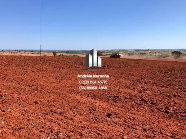 🌴🌳 FAZENDA DE 212 HECTARES A VENDA NA REGIÃO DE VEREDAS 🌴🌳