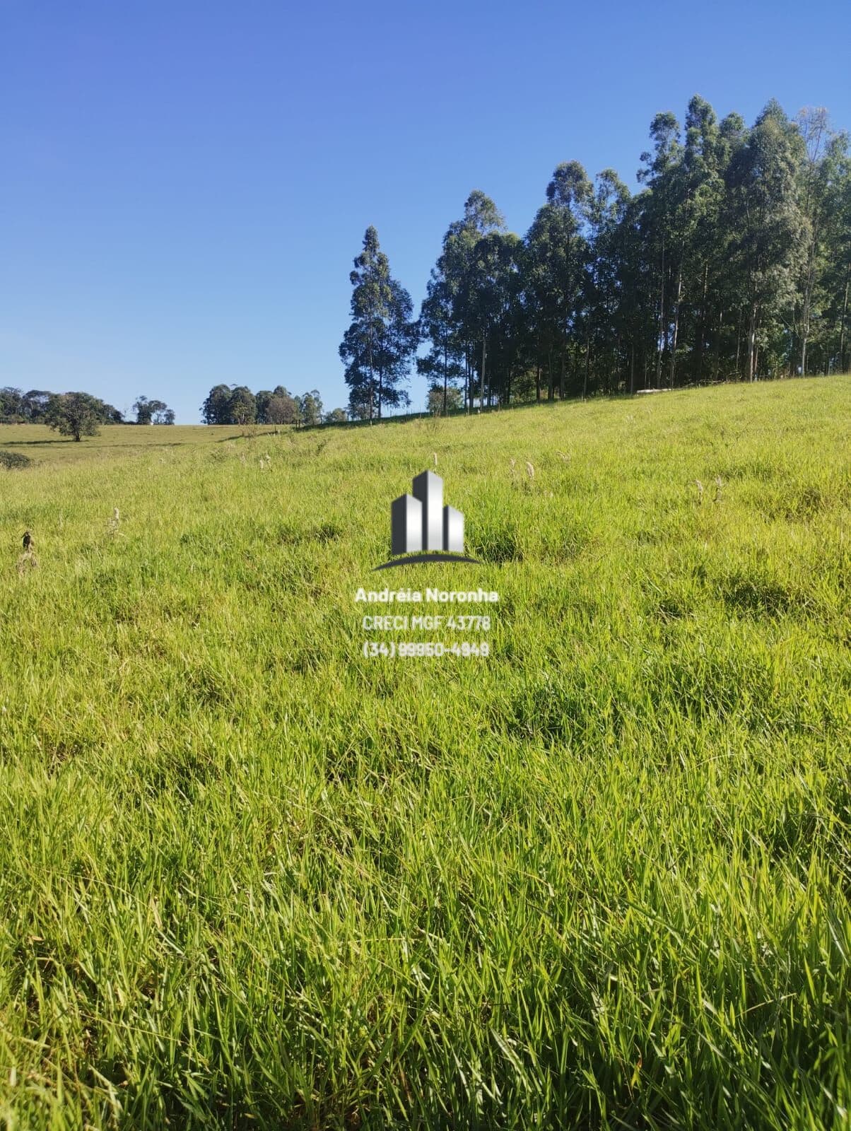 🌴🌳 EXCELENTE SÍTIO DE 5.7 HECTARES NA MATA DOS FERNANDES 🌴🌳