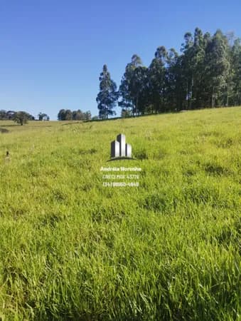 🌴🌳 EXCELENTE SÍTIO DE 5.7 HECTARES NA MATA DOS FERNANDES 🌴🌳
