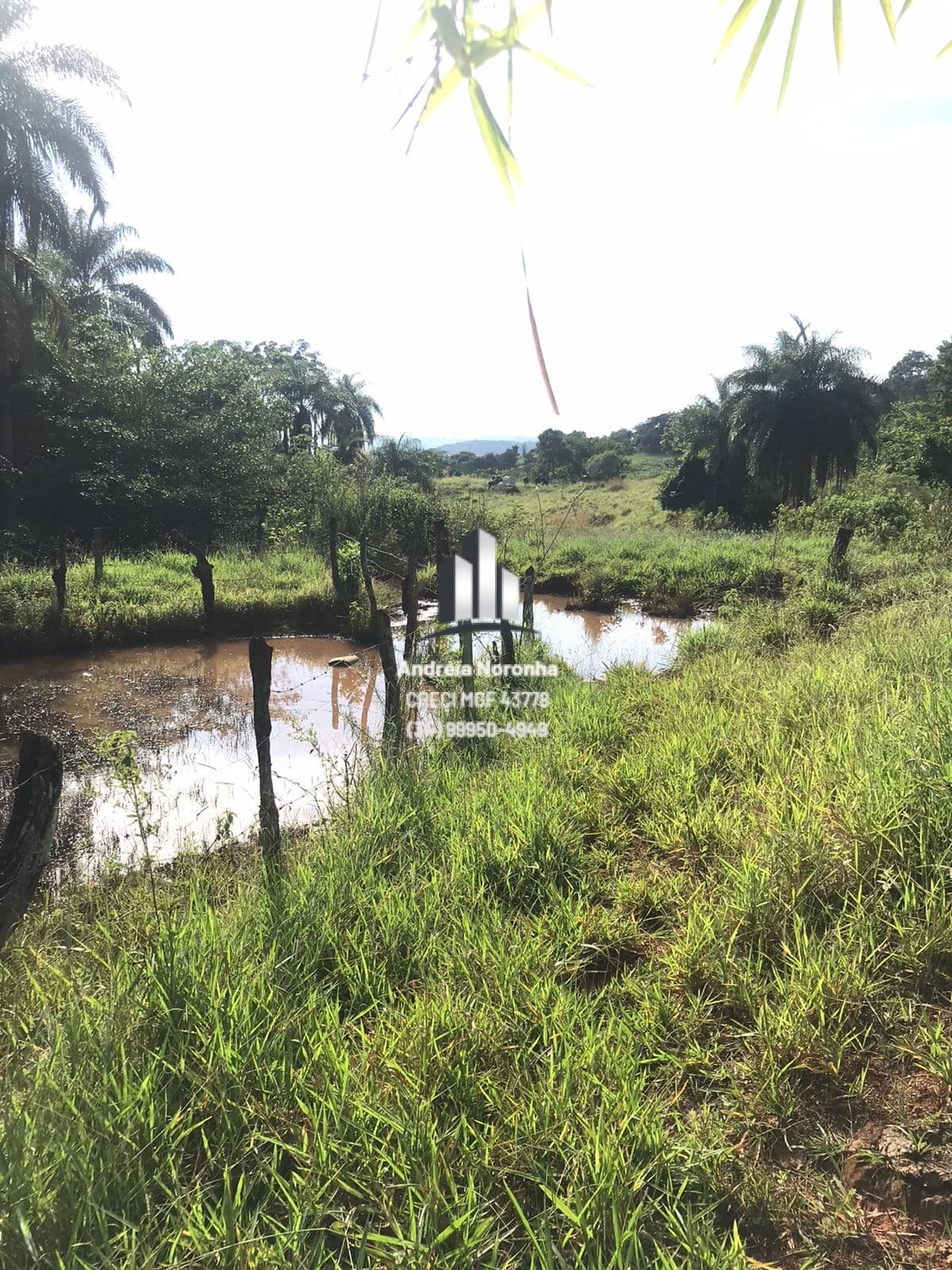 Chácara 5 Hectares atrás do Centro de Convenções