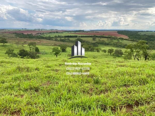 Fazenda 136 Hectares às margens da BR 365 em Patos de Minas/MG