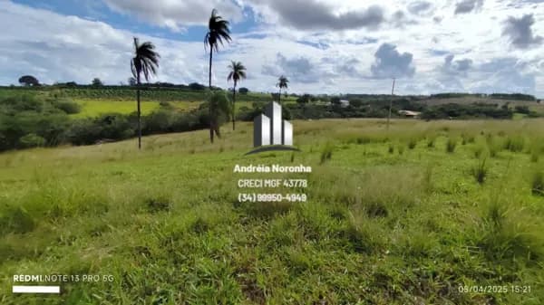 🌳🌴 SÍTIO DE 14.7 HECTARES À VENDA - FICA A 2KM DE SÃO DOMINGOS 🌳🌴