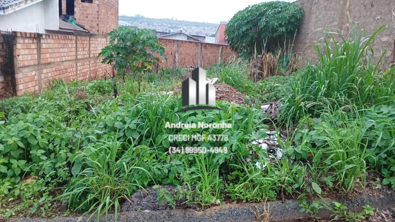 Lote no Bairro Jardim Vitória