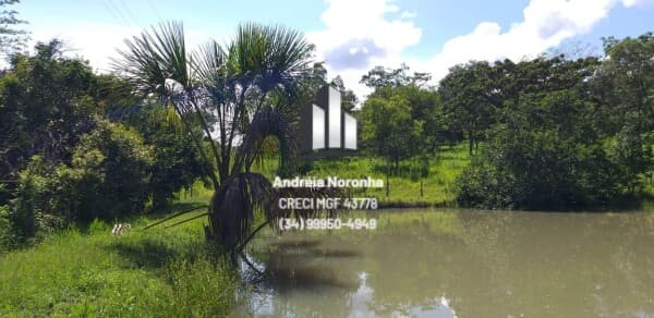 FAZENDA A 5KM DA 040 - ANDREQUICE - TRES MARIAS