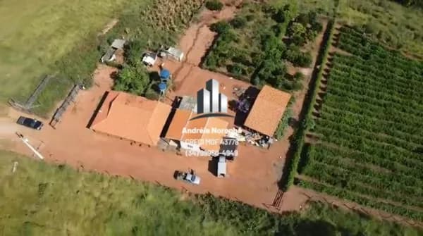🌳🌴 FAZENDA DE 40 HECTARES PRÓXIMO A LIMEIRA - LAGOA FORMOSA 🌳🌴