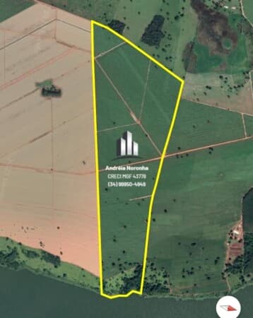 Fazenda 116 Hectares em Planura/MG