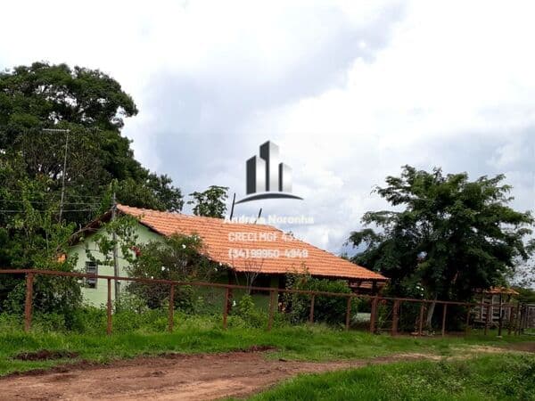 Fazenda 175 Hectares em Presidente Olegário/MG