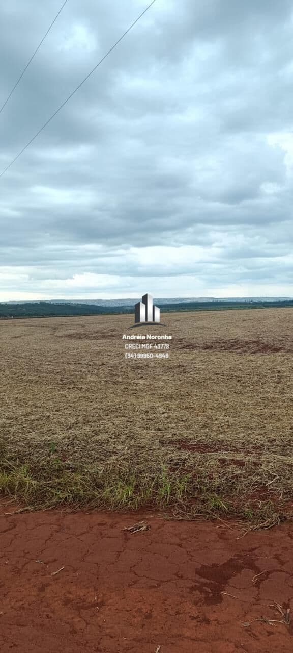 🌳🌴 OPORTUNIDADE DE INVESTIMENTO - CHÁCARAS NA REGIÃO DO BARREIRO 🌳🌴
