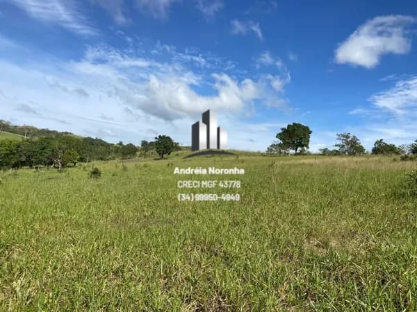 ✳️ SÍTIO À VENDA NA REGIÃO DO AREADO ✳️