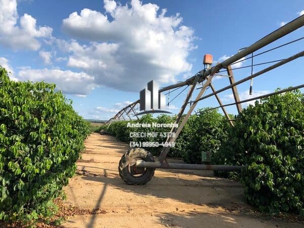 Fazenda de Café em Pirapora/MG