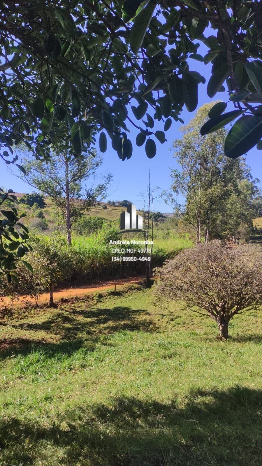 🌳🌴 SÍTIO DE 3.8 HETARES NO PONTO CHIC 🌳🌴